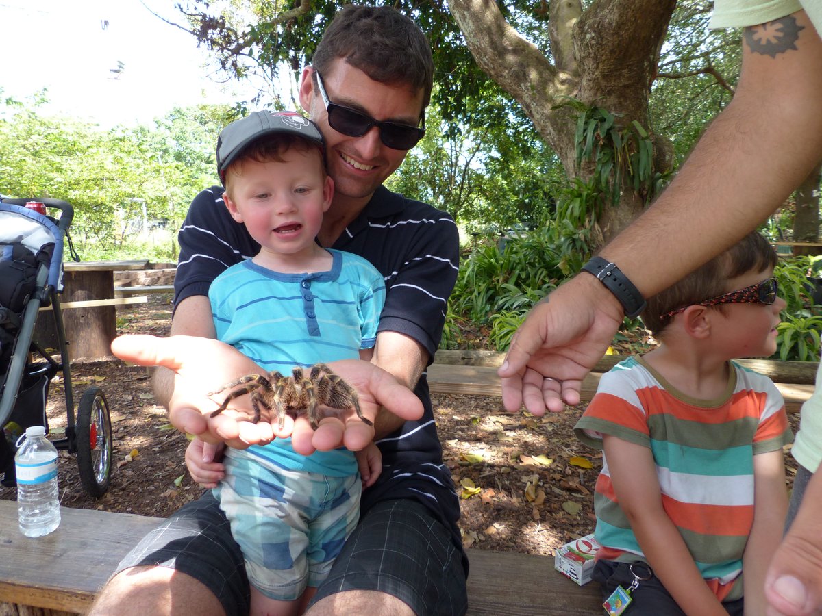Jesper holding a tarantula with Vitus on his lap — parenting choices were made