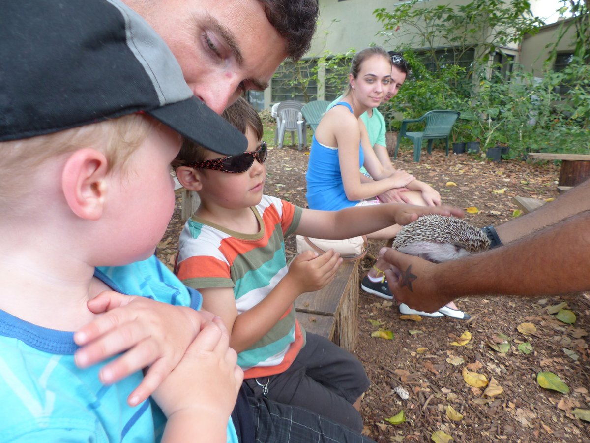 The boys petting a hedgehog — much more their speed than the tarantula