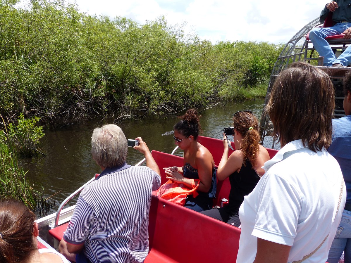 View from the Everglades airboat — tourists scanning the marshland and waterways for alligators