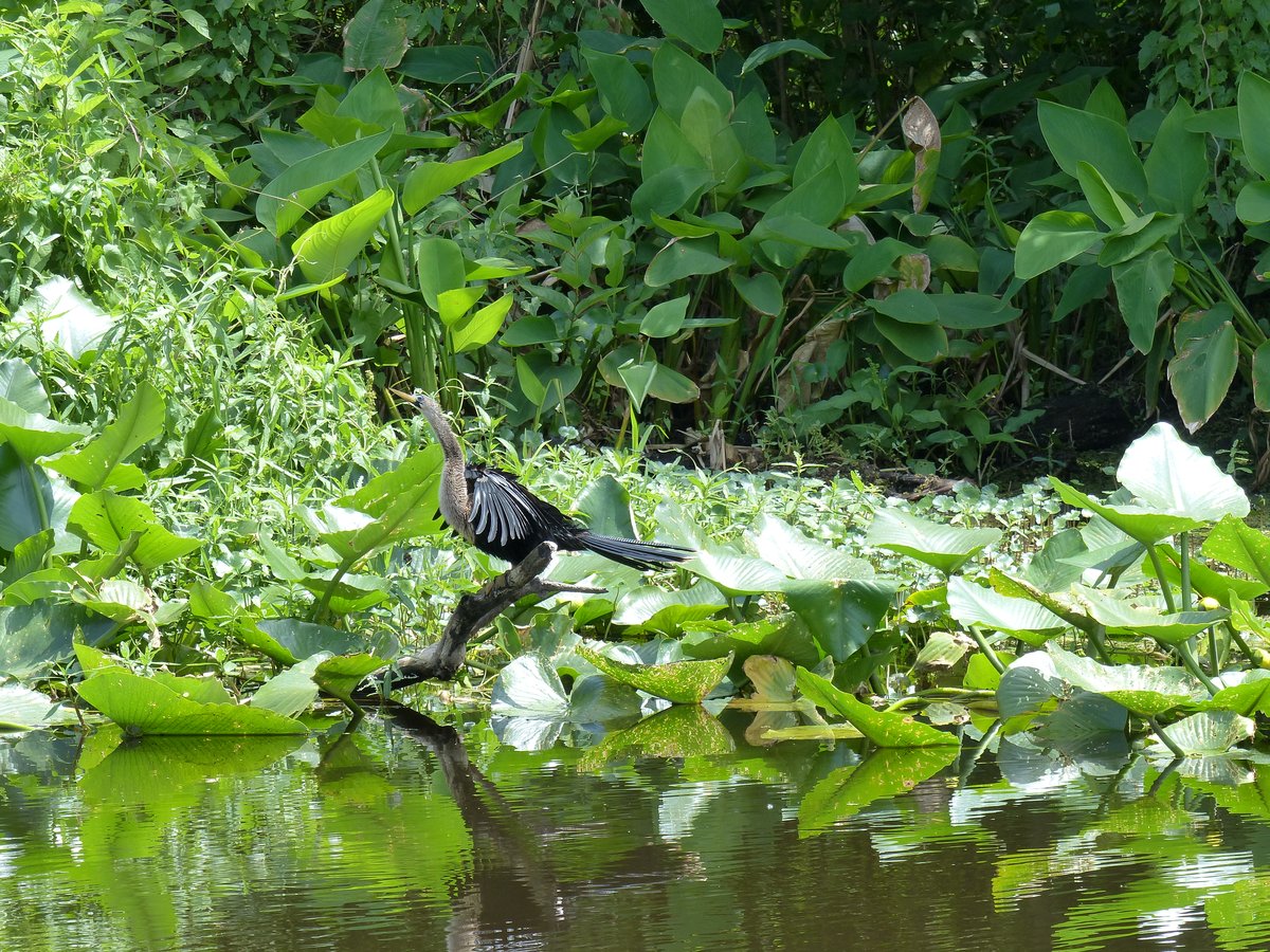 Kids playing in the splash pad and pool at the campground — free entertainment at its finest