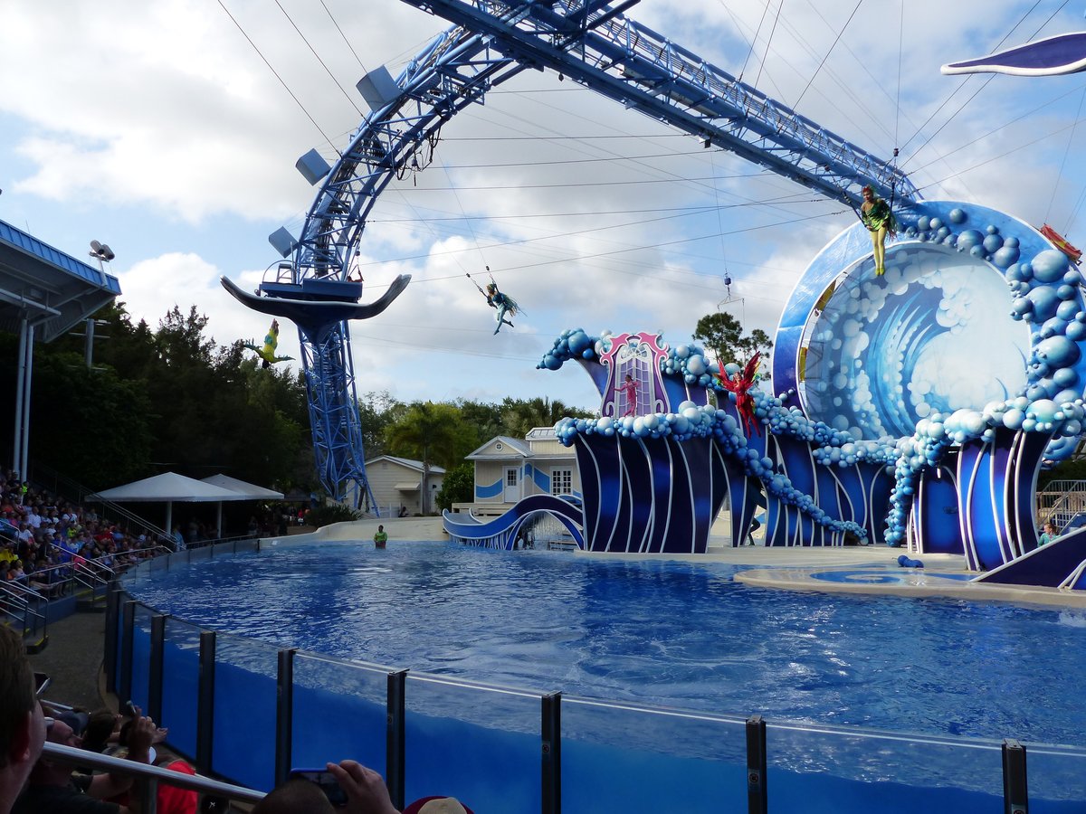 The SeaWorld dolphin show — impressive at the time, complicated in hindsight