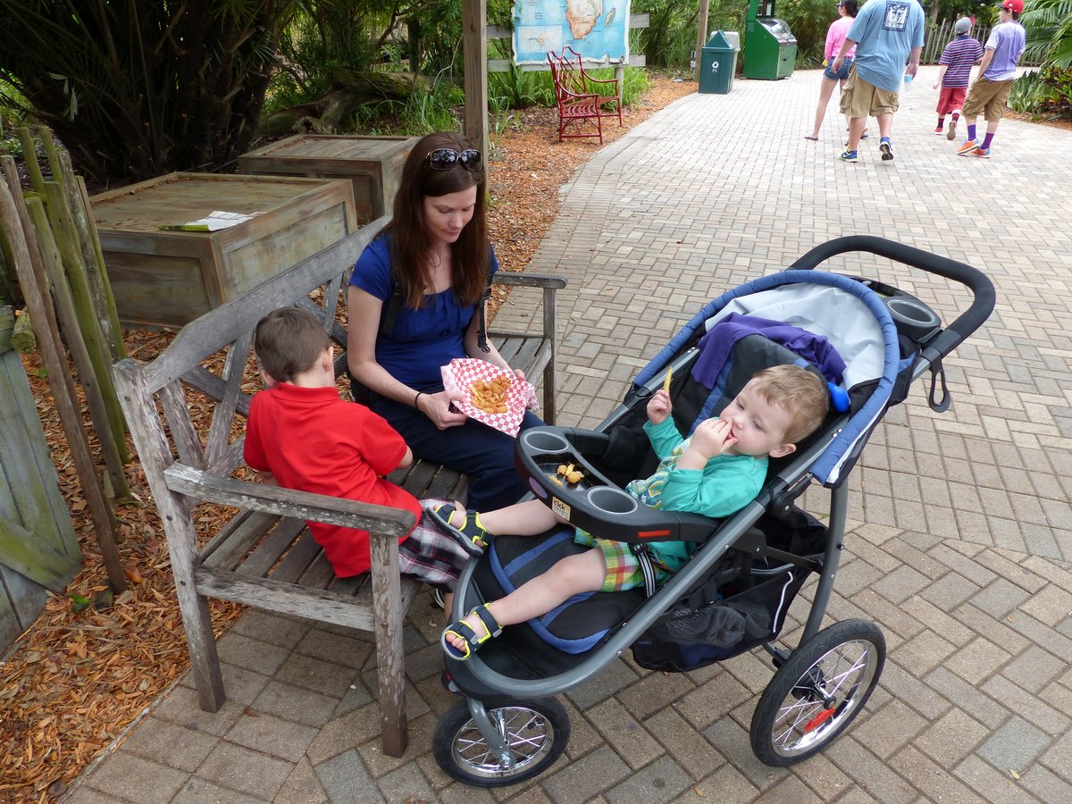 A shark in the aquarium — Noah was convinced it was making eye contact