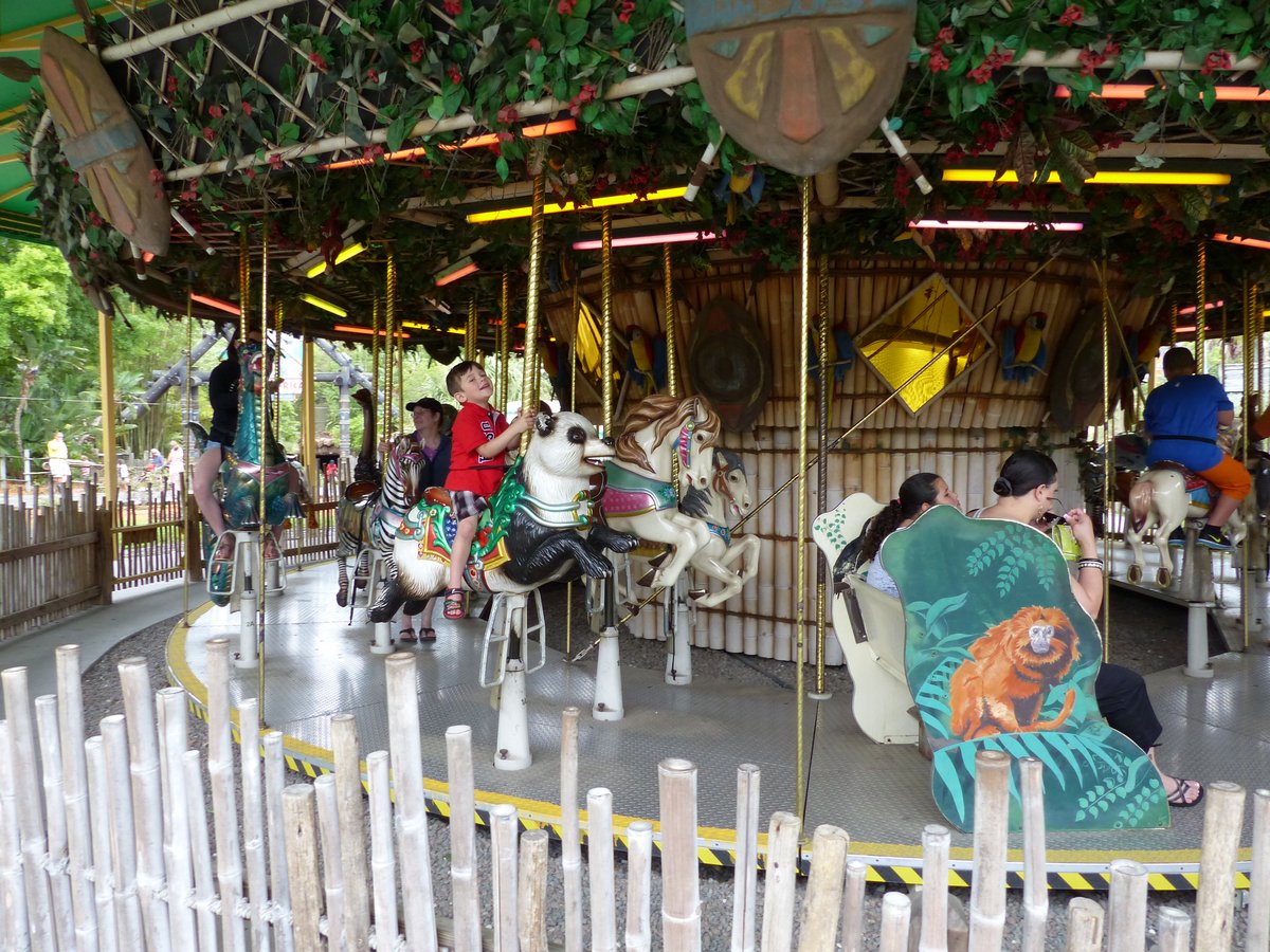 The carousel ride — a family trip essential