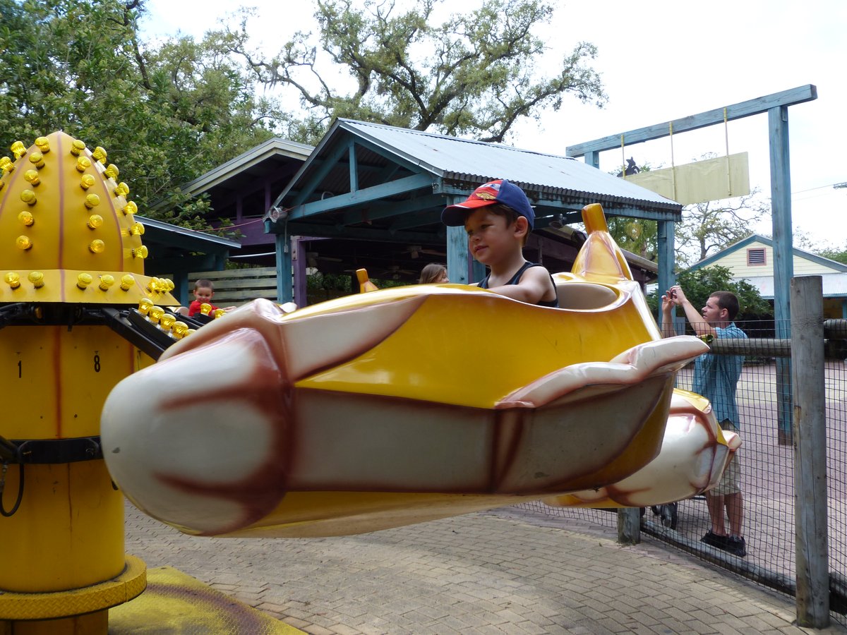 The Dinosaur World path lined with colourful life-size dinosaur sculptures among Spanish moss and palms