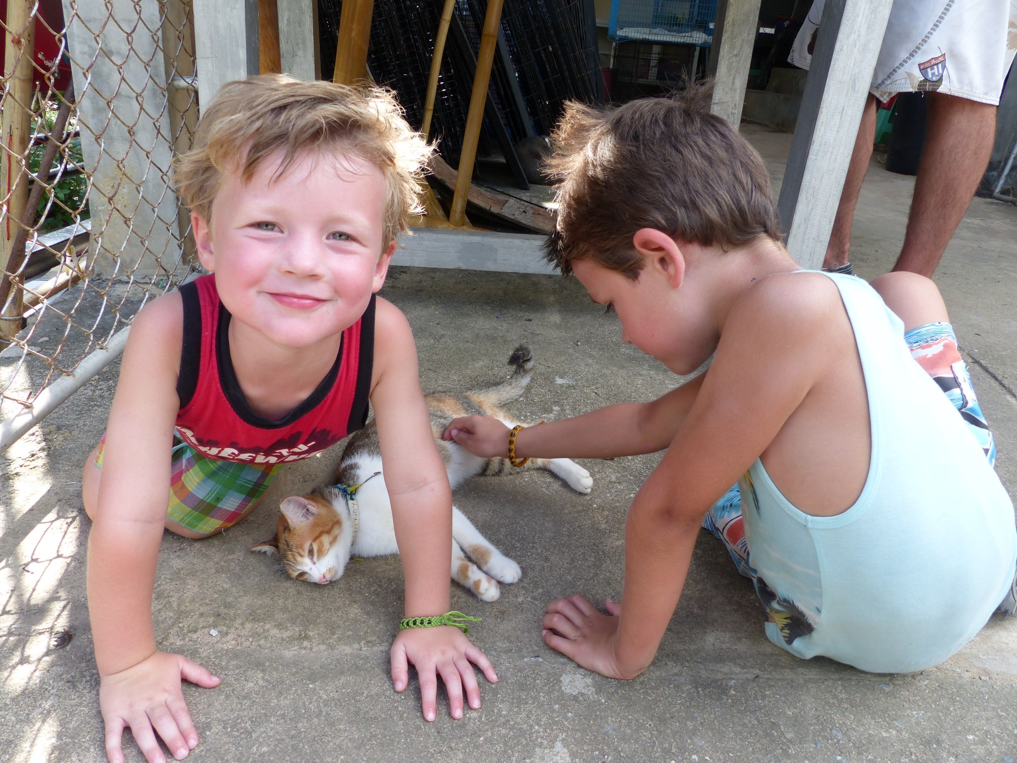 Visiting Animal Welfare Center at Koh Lanta