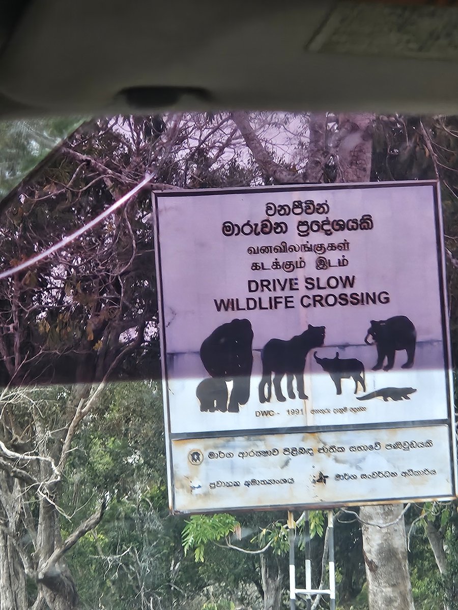 A Drive Slow Wildlife Crossing sign with silhouettes of an elephant, leopard, bear and crocodile