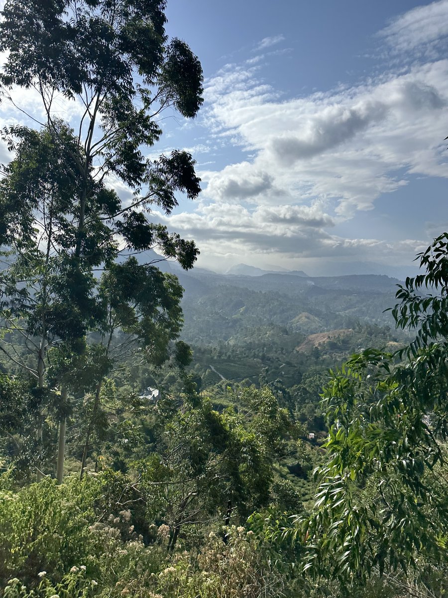 The view from the guesthouse balcony over the green valley toward the hills