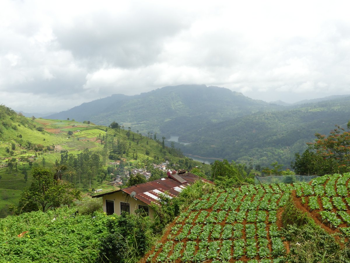 Hill-country landscape near Nuwara Eliya with terraced vegetable plots and a village in the valley