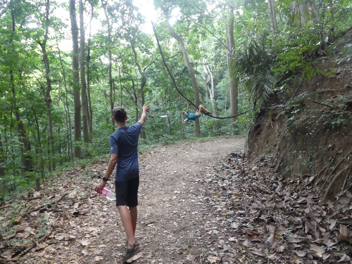 Noah throwing a frisbee down the forest trail, Vitus on a vine behind