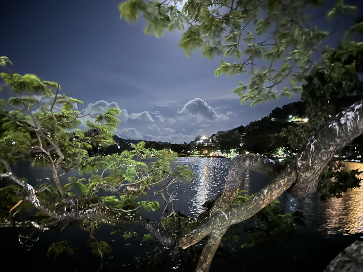Kandy Lake at night, the city lights reflecting on the water through the trees
