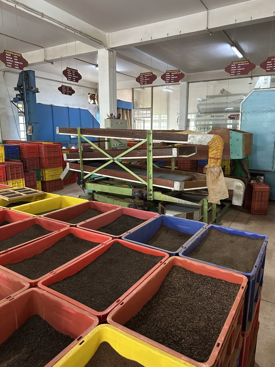 Colourful bins of graded dried tea leaves on the sorting floor