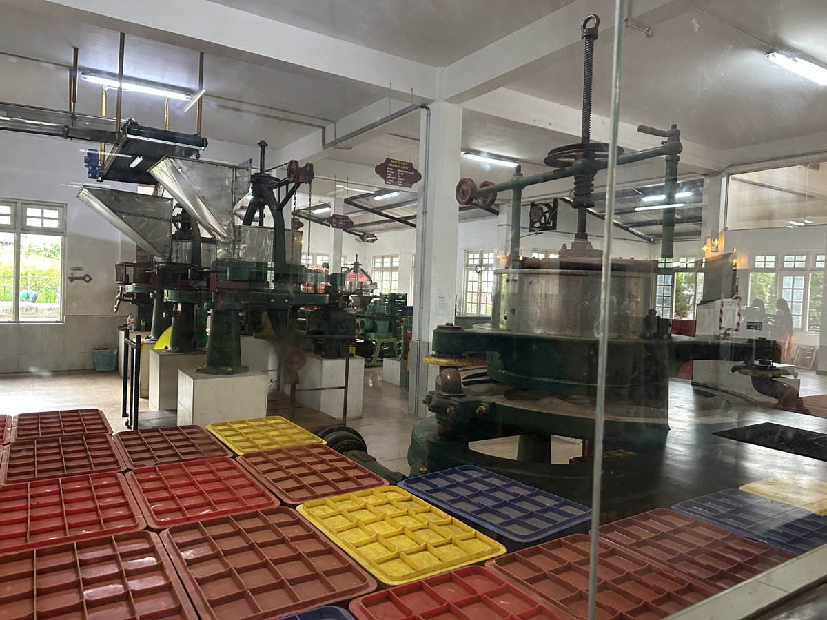 Old green rolling and pressing machines inside the tea factory, sorting trays in front