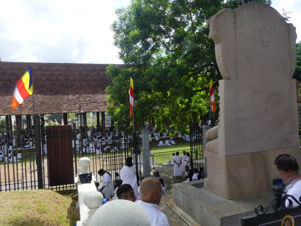 Crowds of white-clad worshippers in the Temple of the Tooth grounds during the full-moon Poya festival