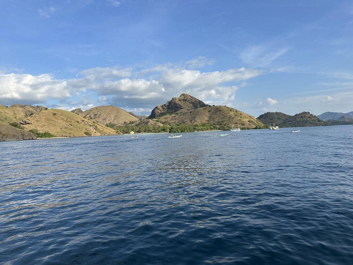The dry hills and blue water of the Komodo islands from the boat
