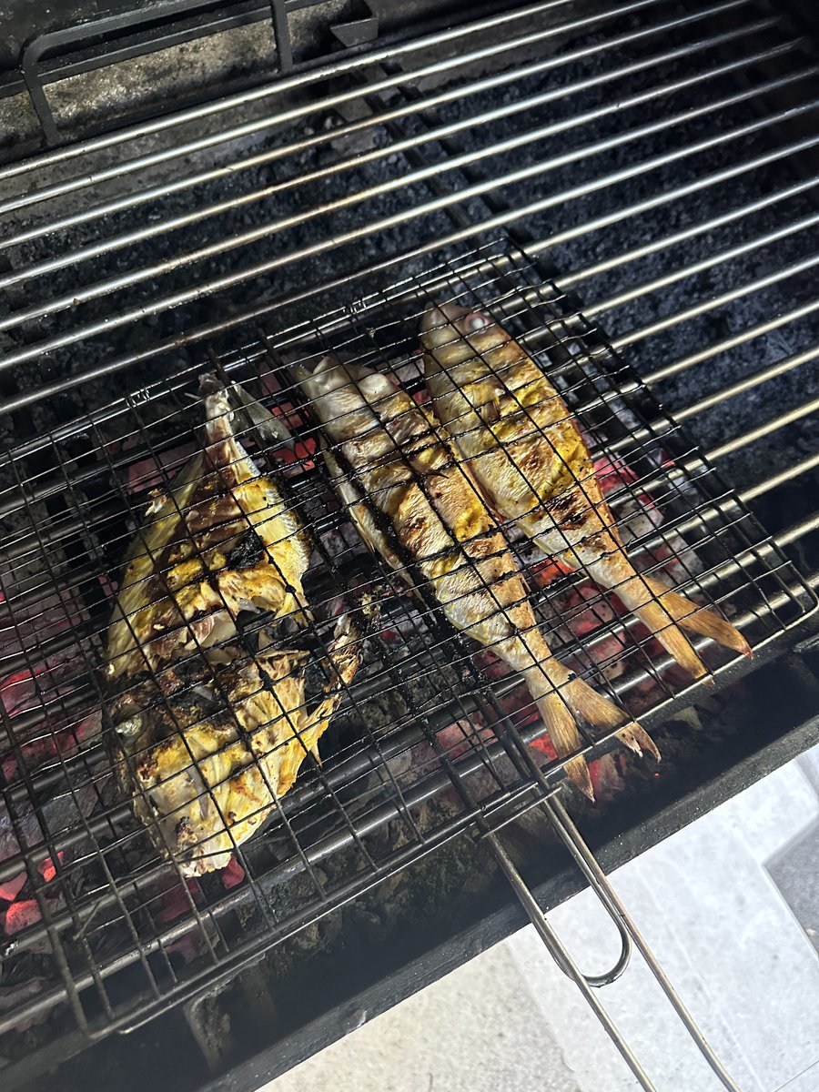 The three freshly caught fish grilling in a basket over coals