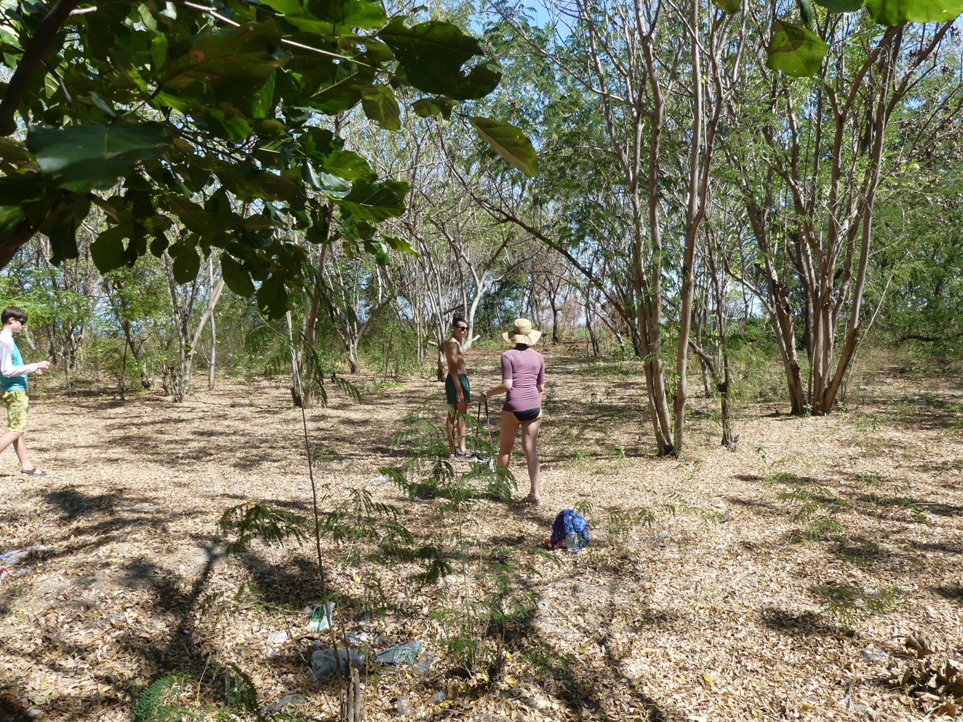 Throwing a disc on the island
