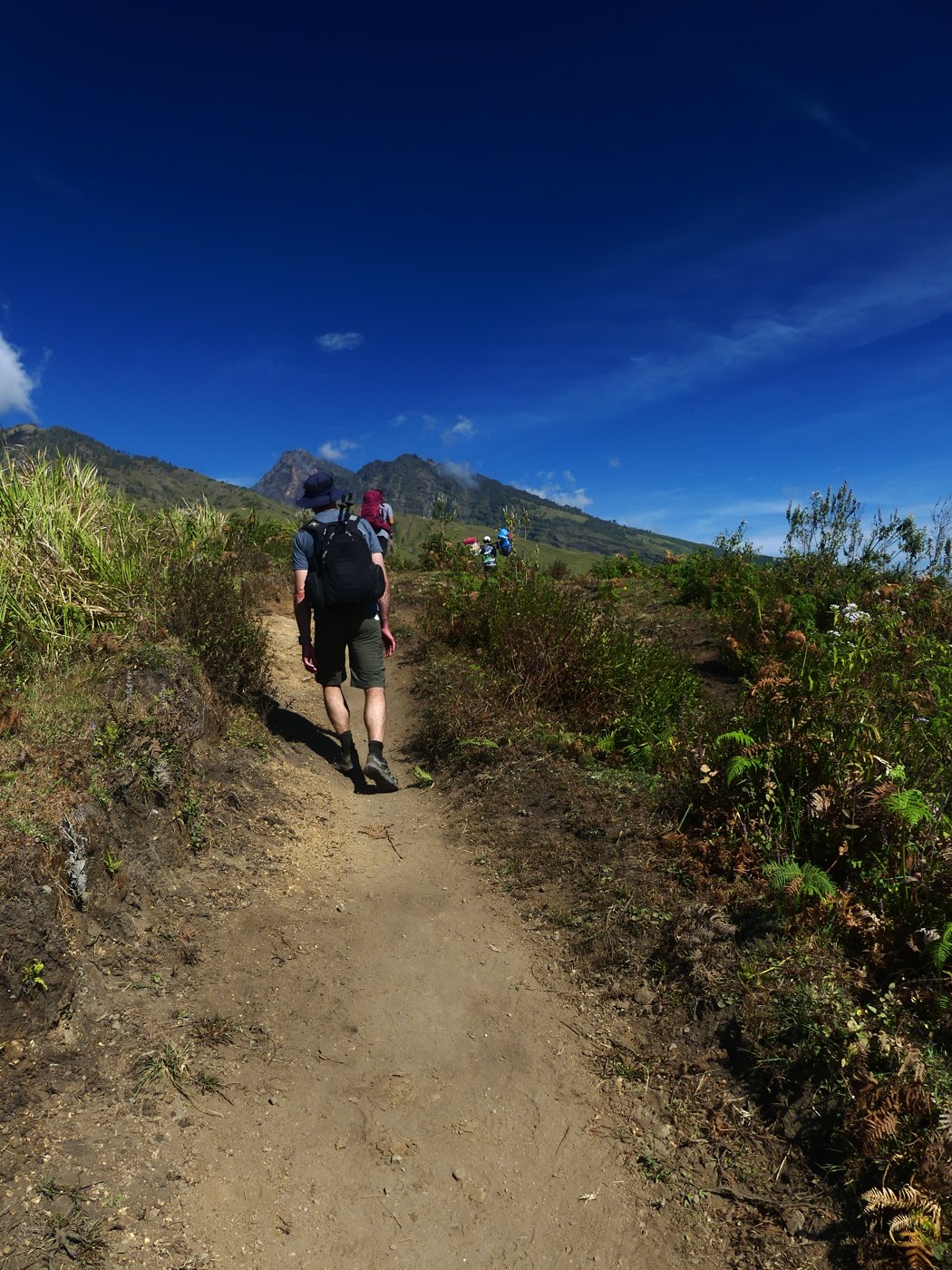 The trail up Rinjani on the first day, open landscape