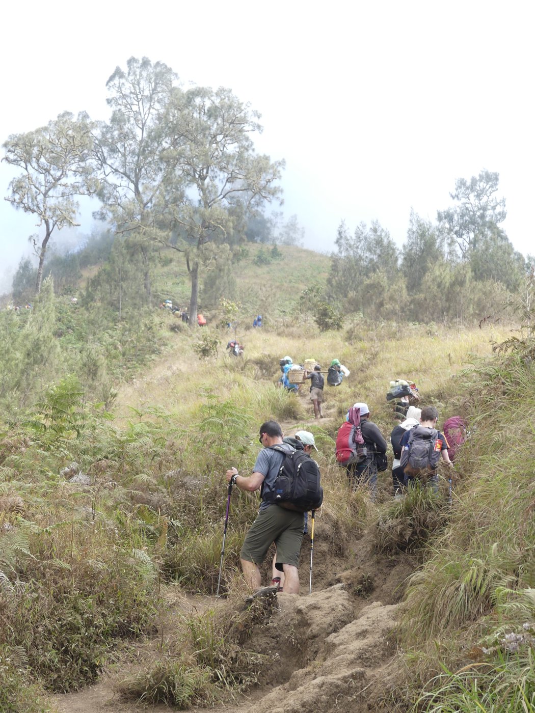 Climbing higher with wide views over the hills
