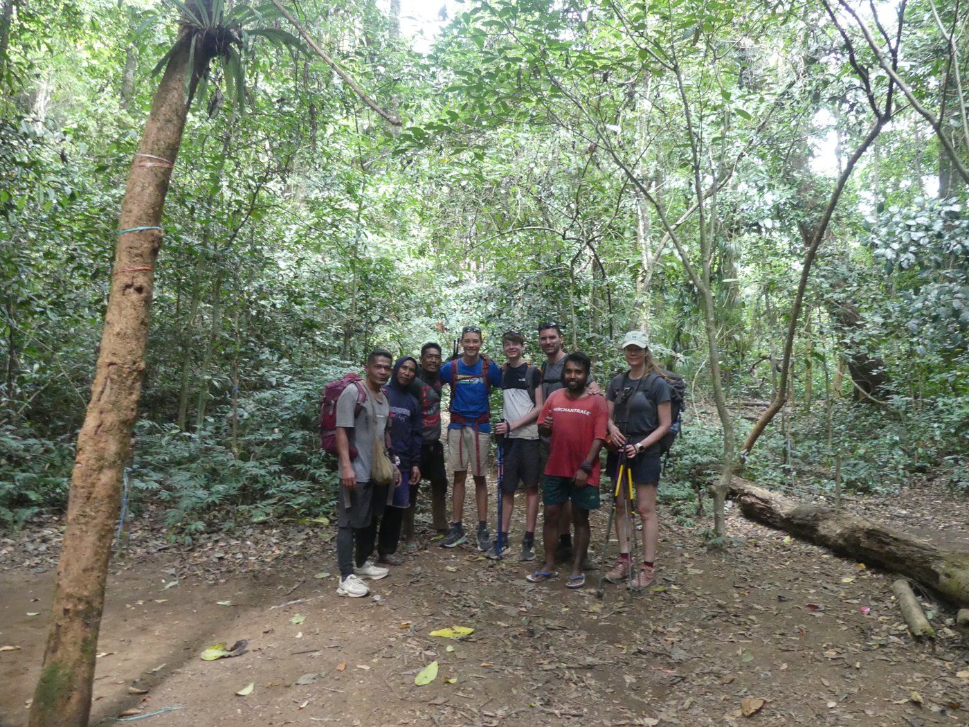 The group descending through the jungle