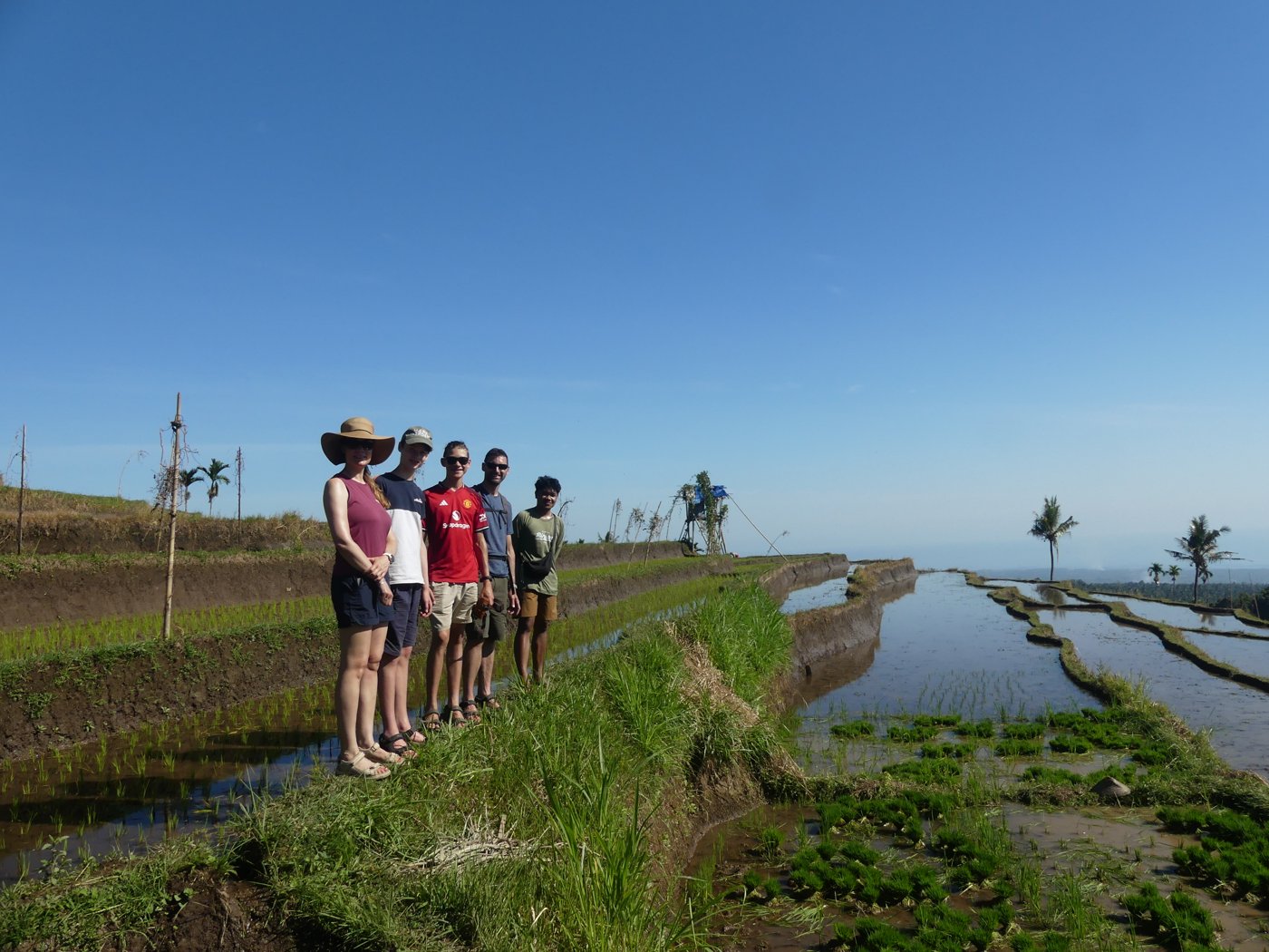The family walking the narrow dikes between the paddies
