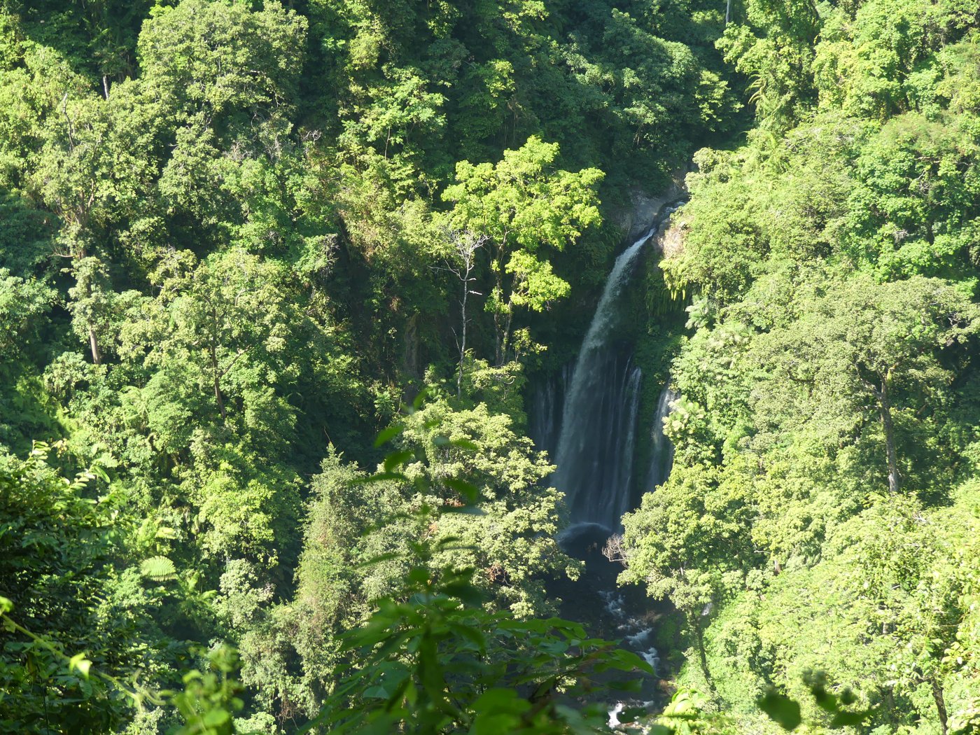 The green jungle valley near the village