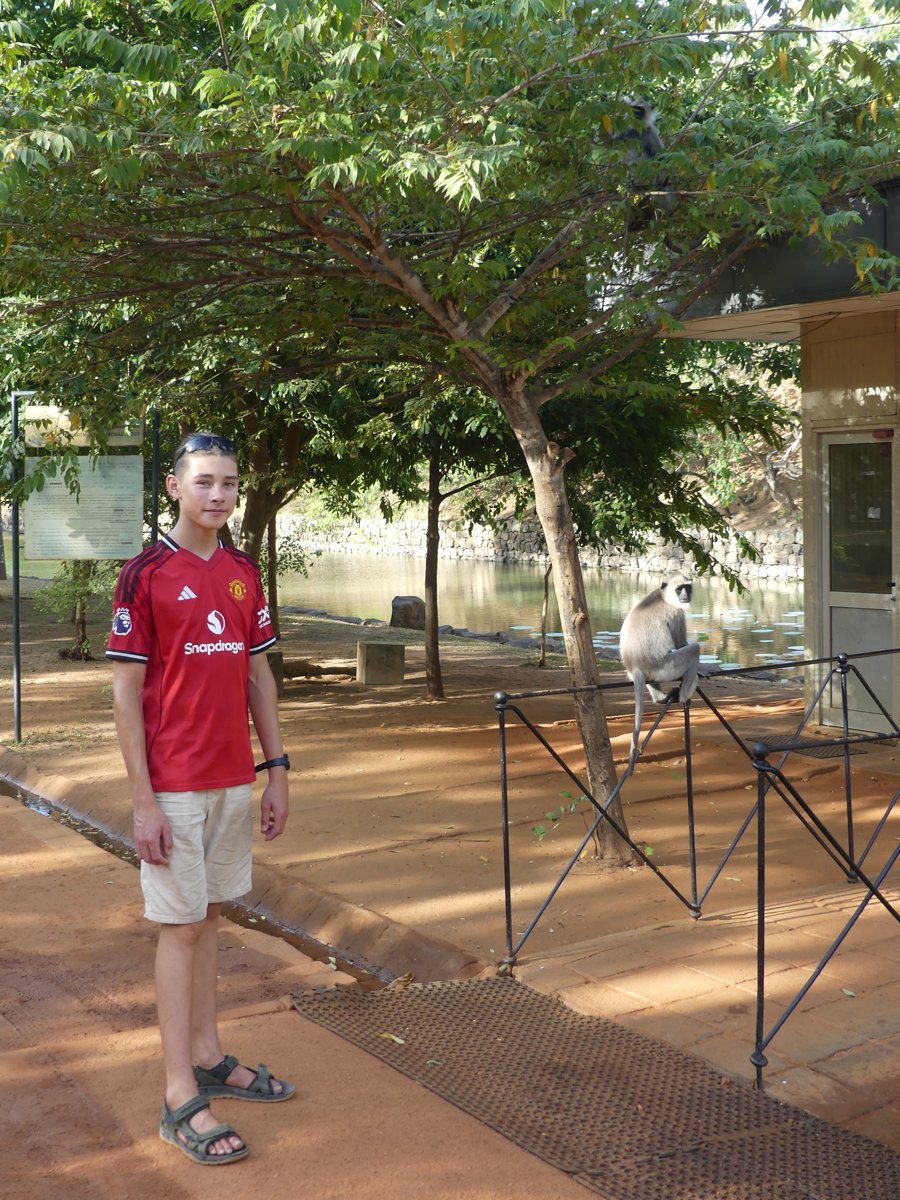 Noah watching a grey langur monkey perched on a railing by the Sigiriya moat