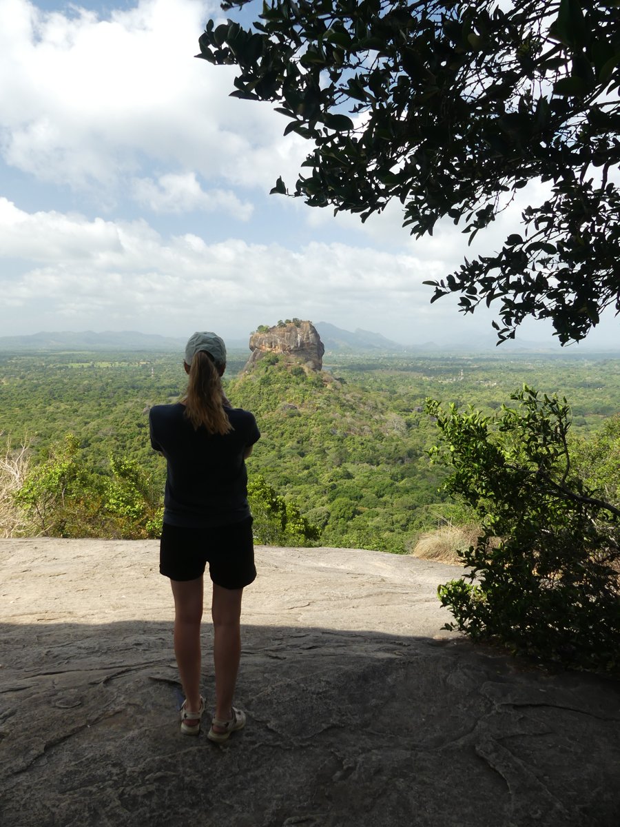 Line looking across at the Lion Rock framed by an overhanging branch