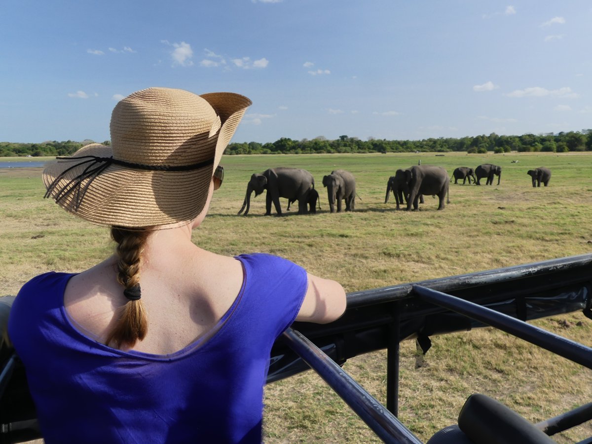 Line in a straw hat watching a large elephant herd with calves