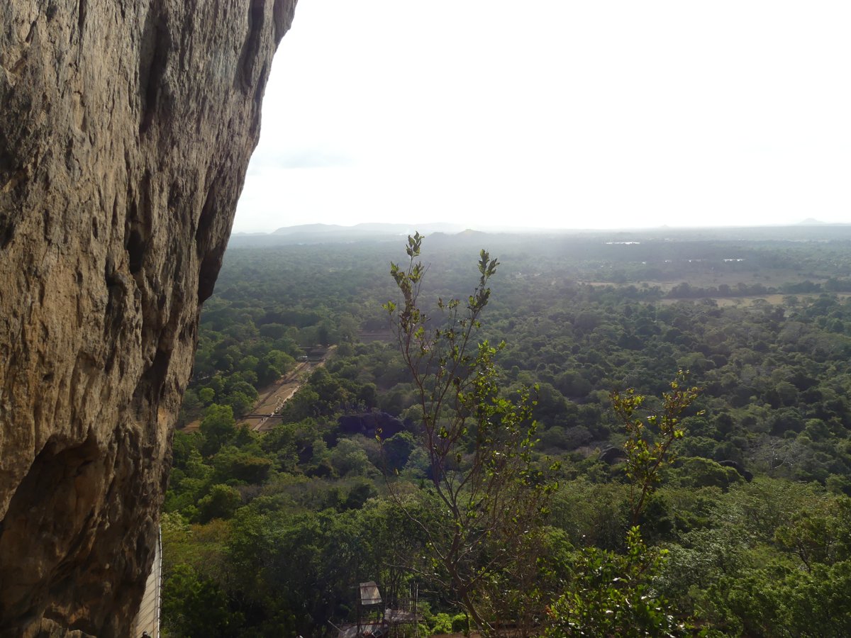 The view over the jungle from partway up the Sigiriya rock face
