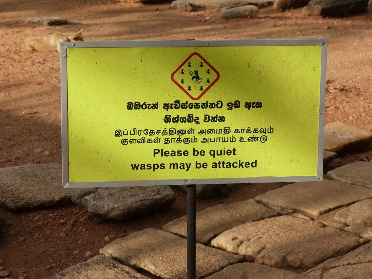 A yellow Sigiriya sign reading 'Please be quiet, wasps may be attacked'