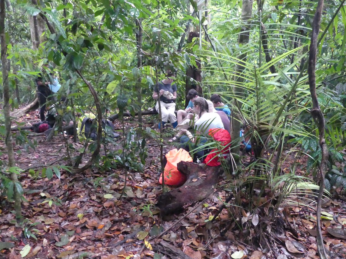 The trekking group resting on a fallen log in the jungle