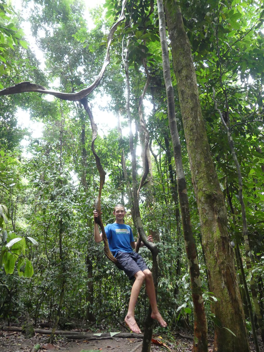 Noah hanging from a huge jungle vine