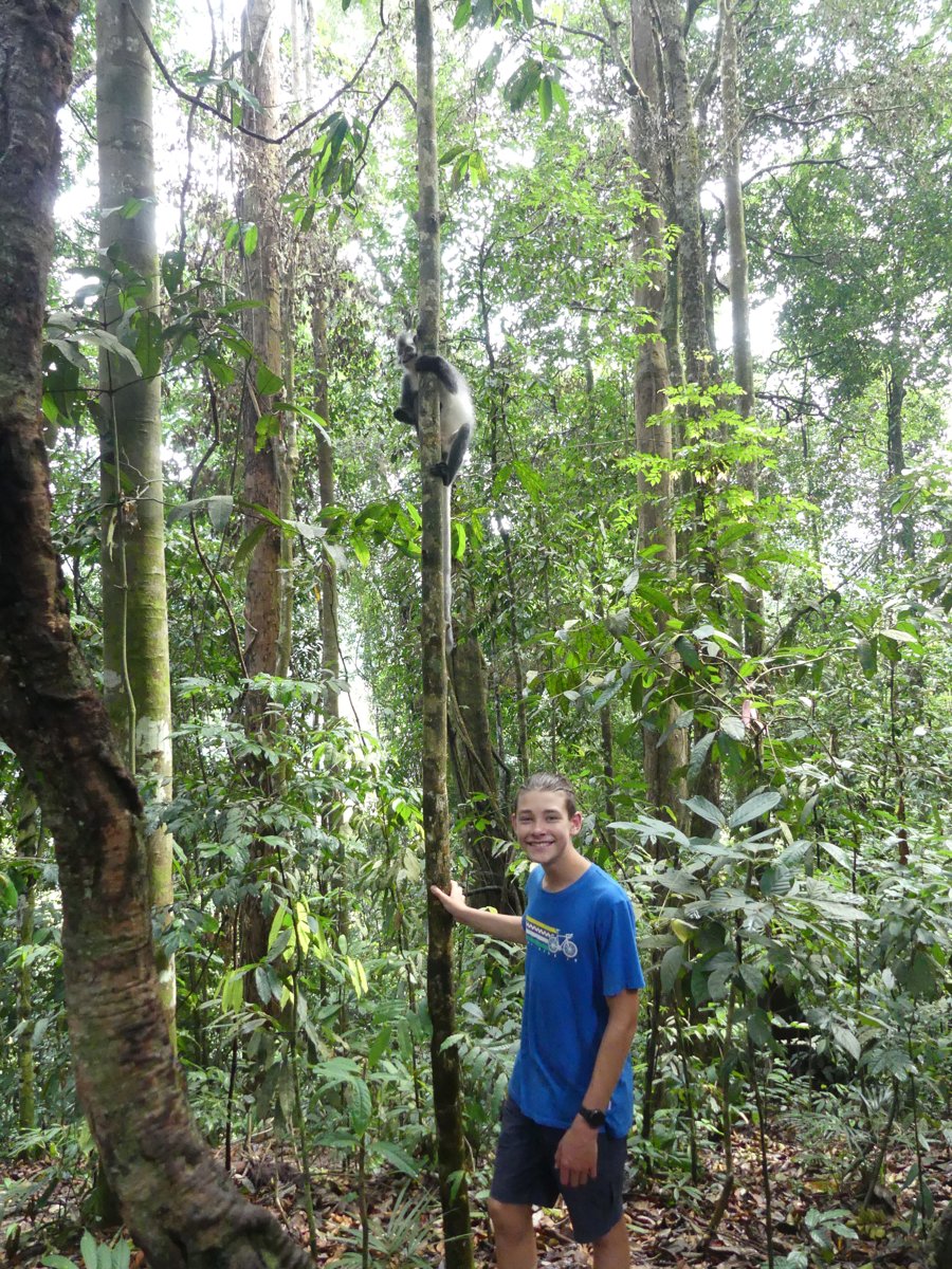 Noah standing below a thin tree with a Thomas leaf monkey perched on it