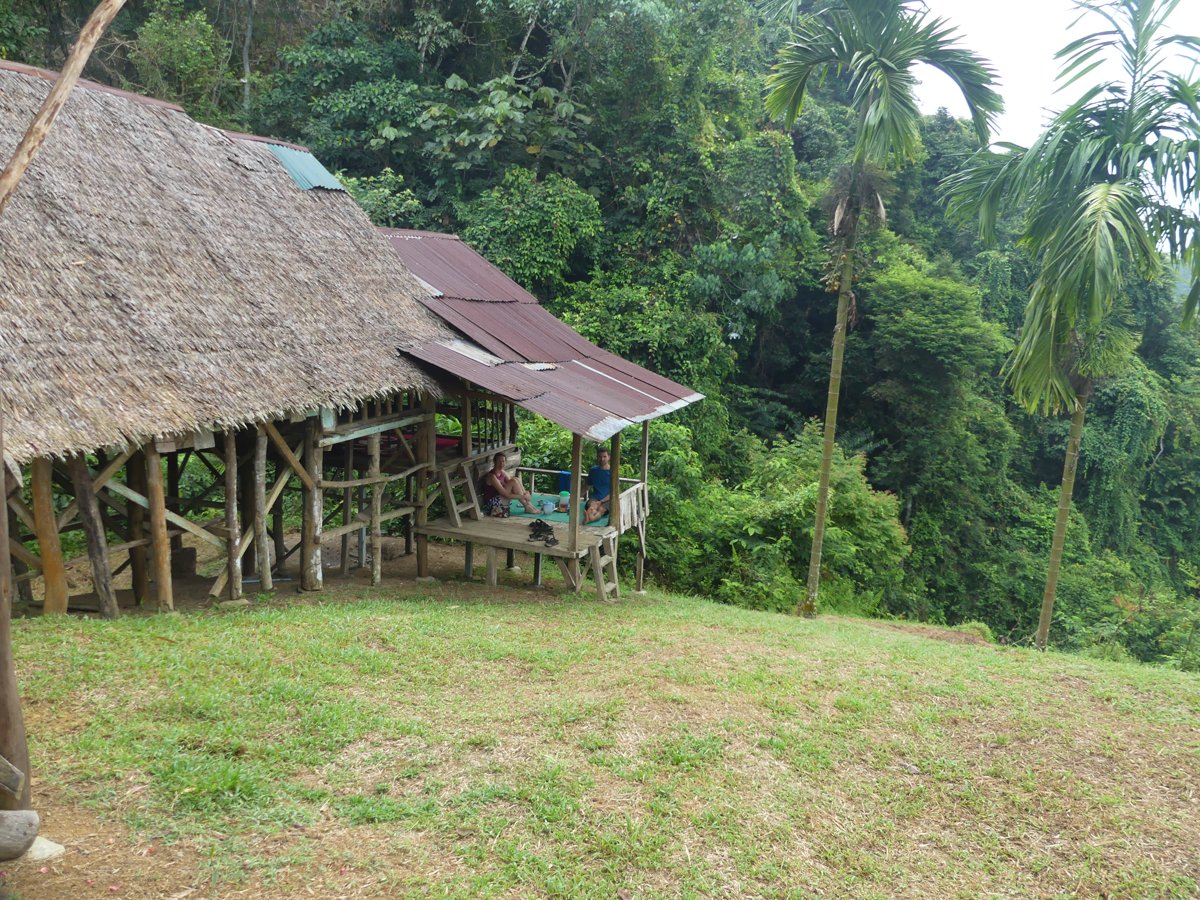 The grassy hilltop camp clearing ringed by tall palms and rainforest ridges