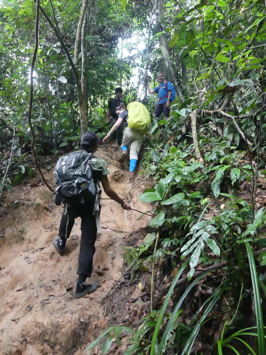 The group scrambling up a steep muddy jungle slope, Line in her blue leech socks